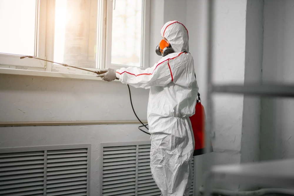 Professional mold remediation services in Holder, FL